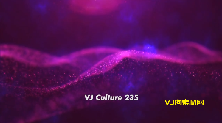 VJ Culture 第235期 LIVE HOUSE